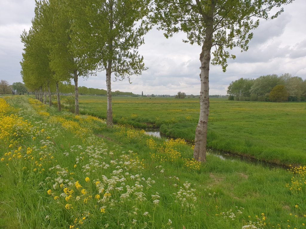Prologue Tour d’IJsselmeer, Day 2.6