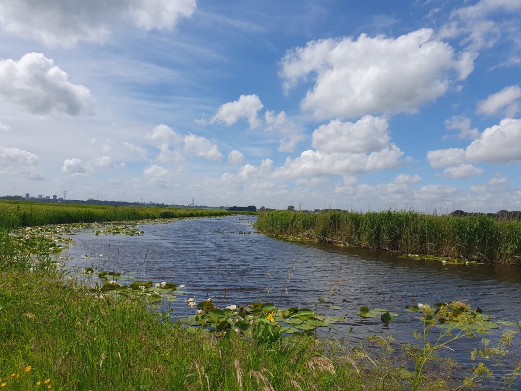 A ditch in the municipality of Waterland